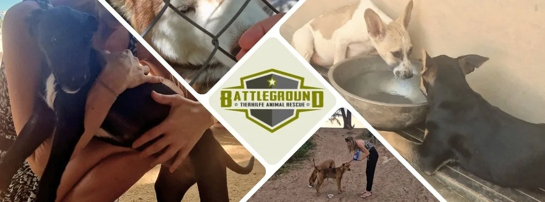 Notfall-Tierschutz in Oberhavel