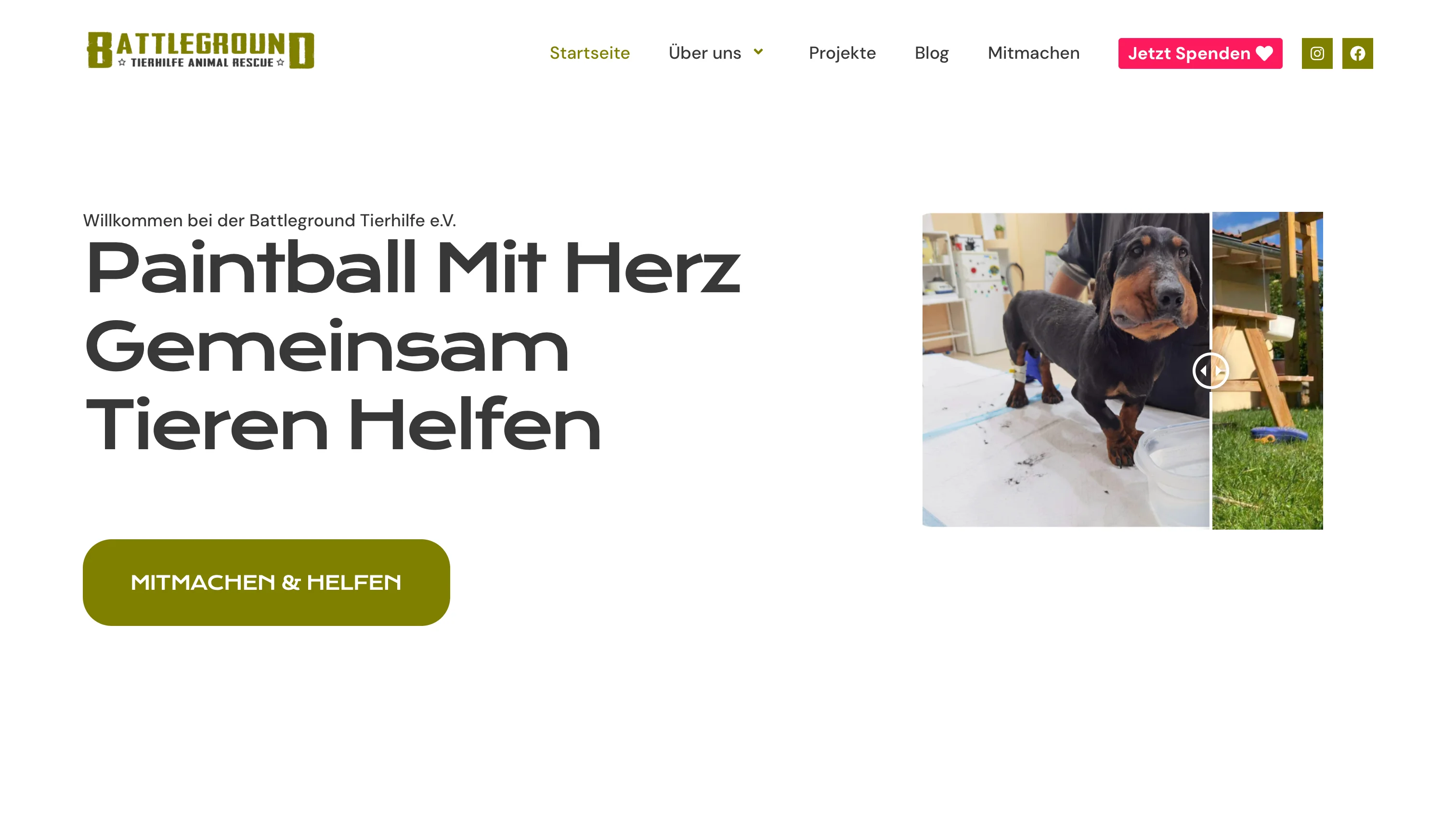 Alte WordPress Website der Battleground Tierhilfe