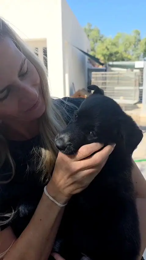 Daisy bei der Ausreise nach München