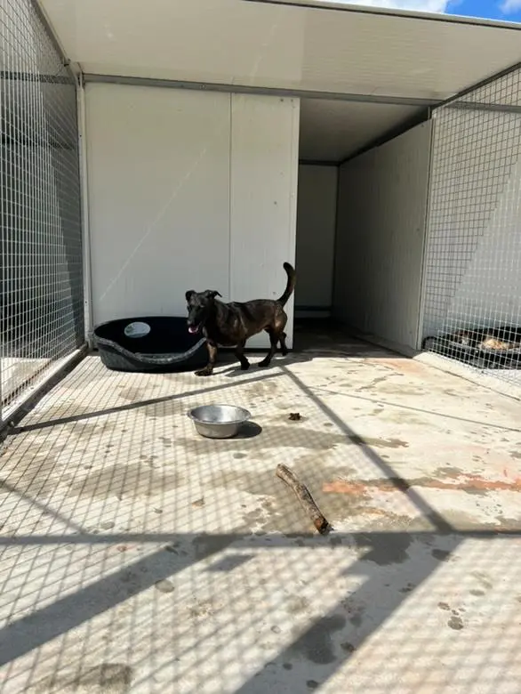 Daisy (jetzt Coco) – Happy End