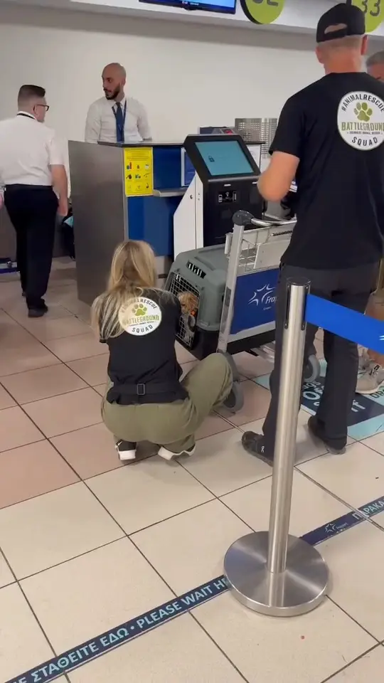 Daisy – Flugpatenschaft nach Deutschland