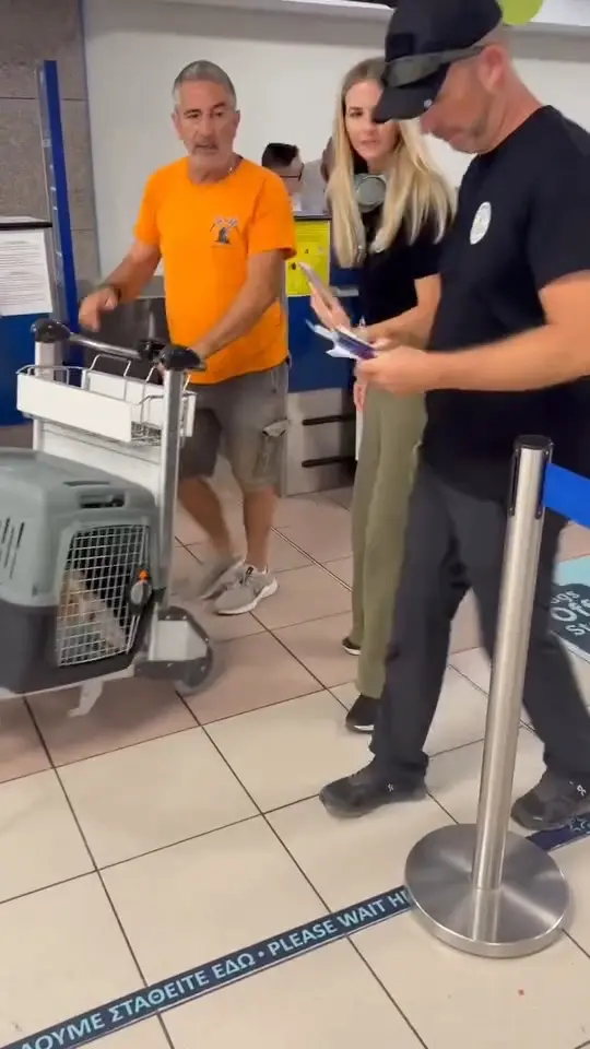 Daisy im Flugzeug nach München