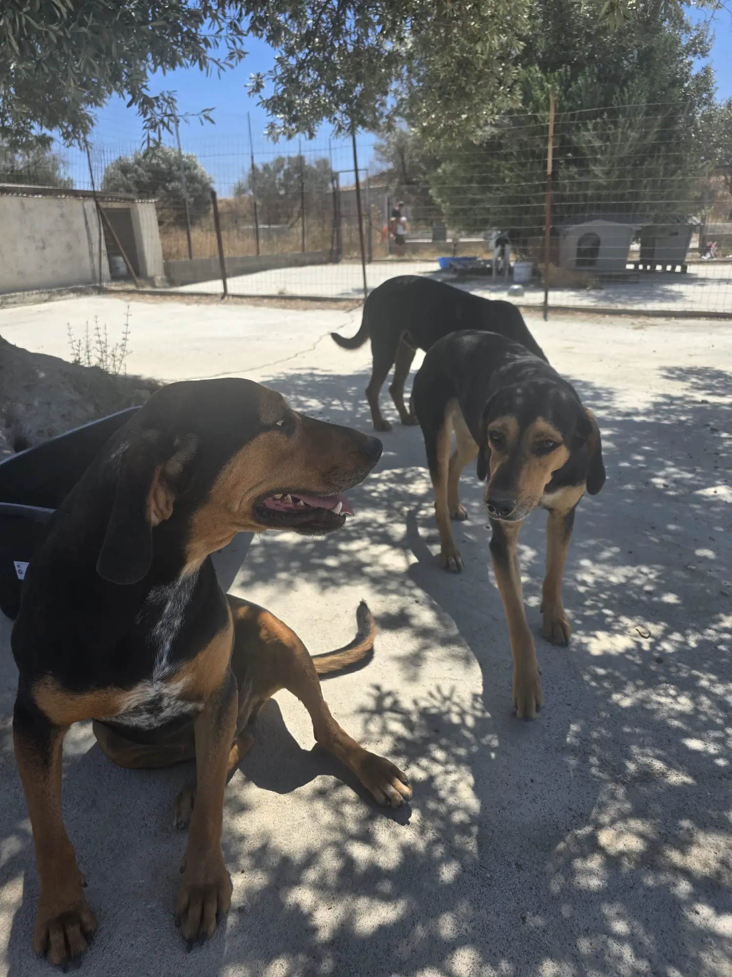 Dokumentation der Zustände vor Ort