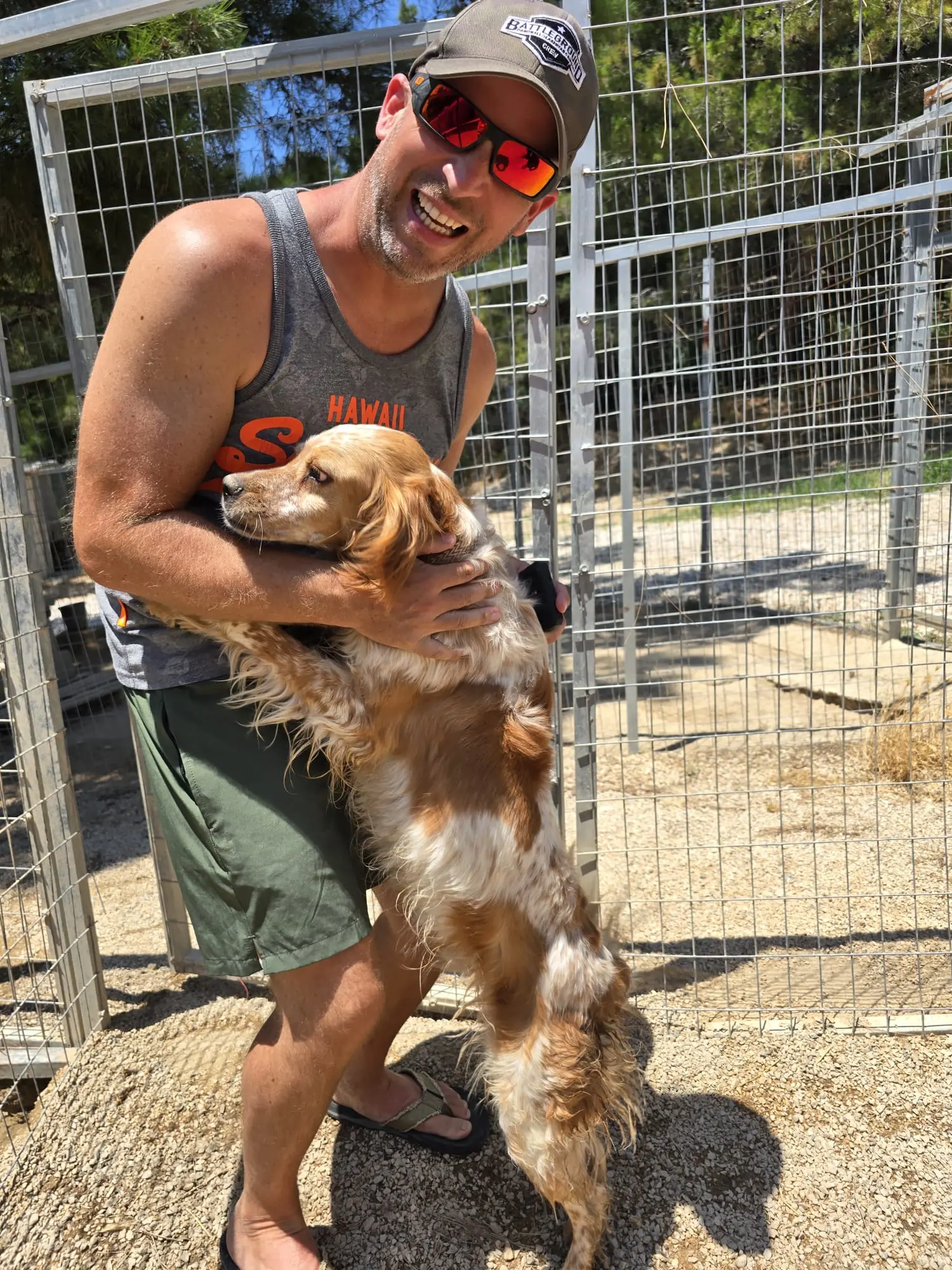 Futterspende wird verteilt