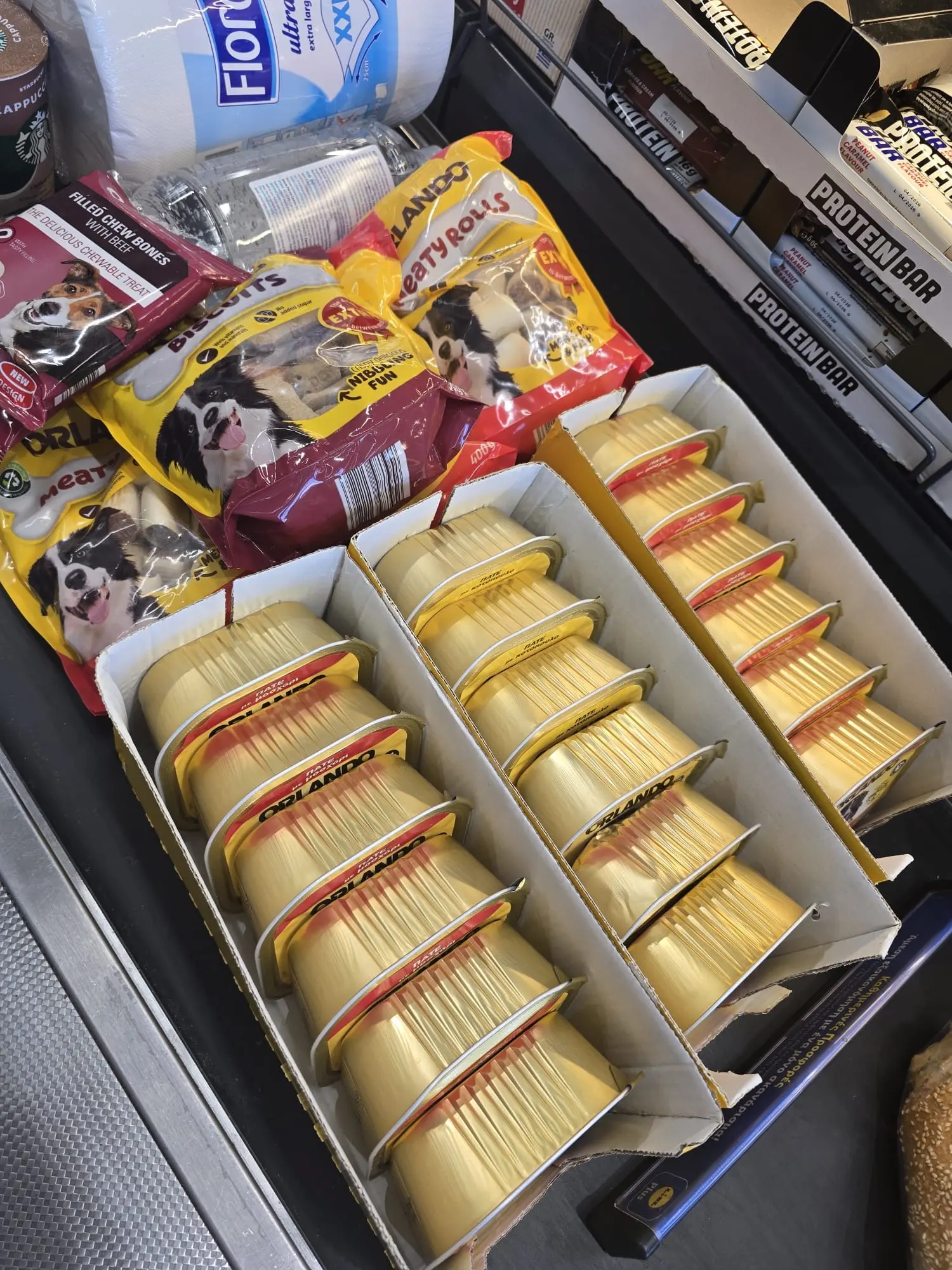 Gerettete Hunde aus Gennadi