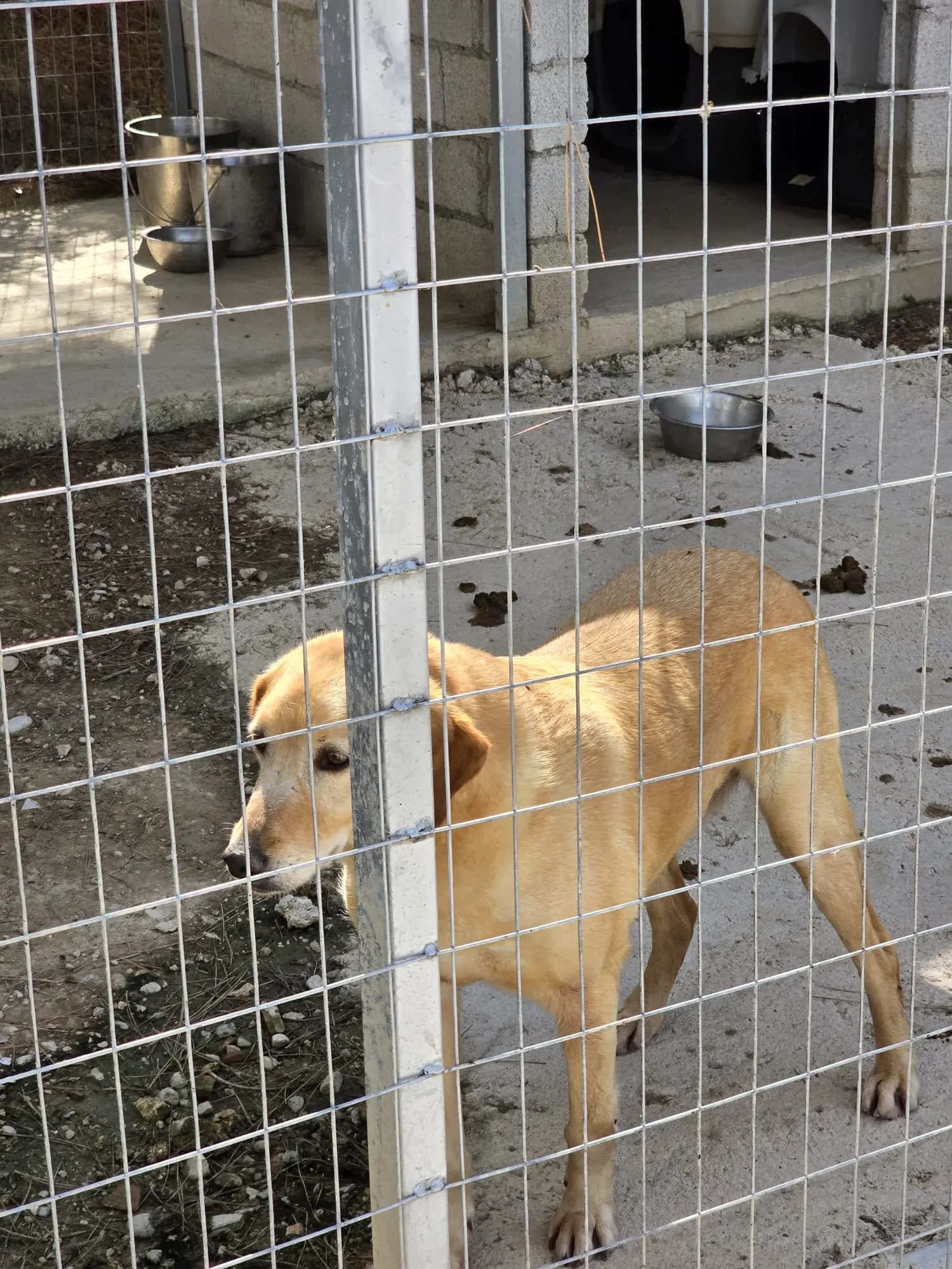 Zerstörte Hütten werden gereinigt