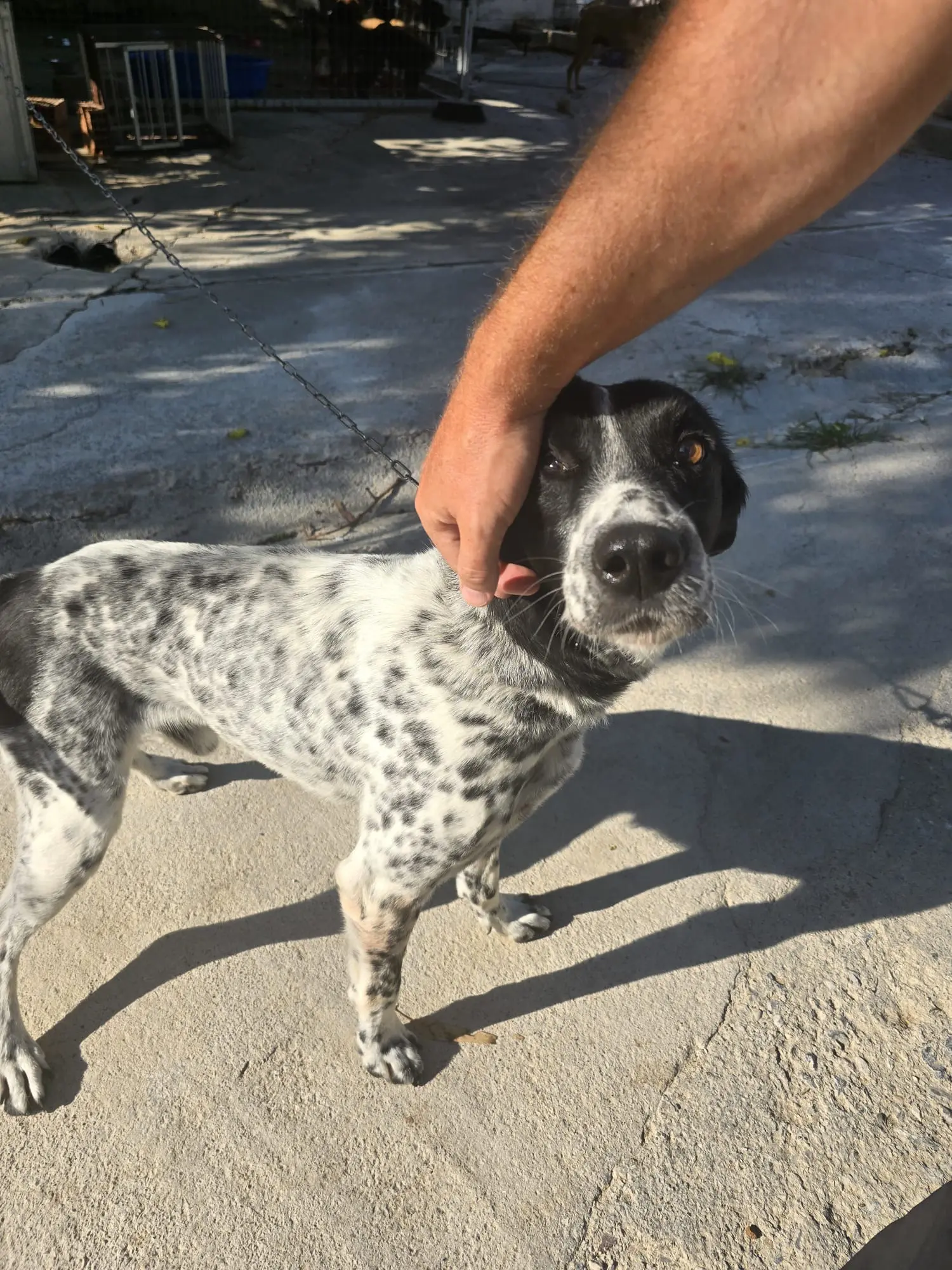 Letzte Arbeiten vor Ort