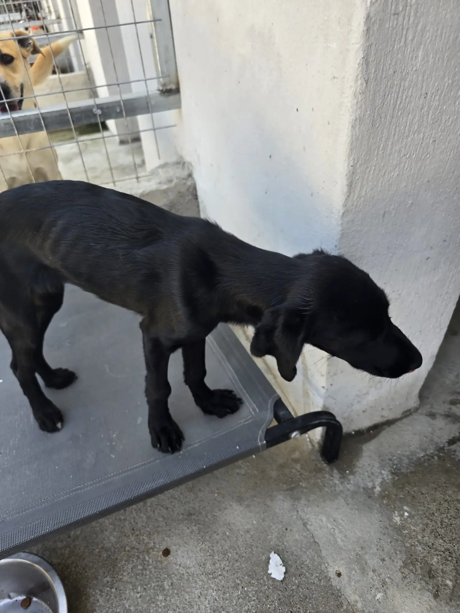 Reparaturarbeiten am Shelter