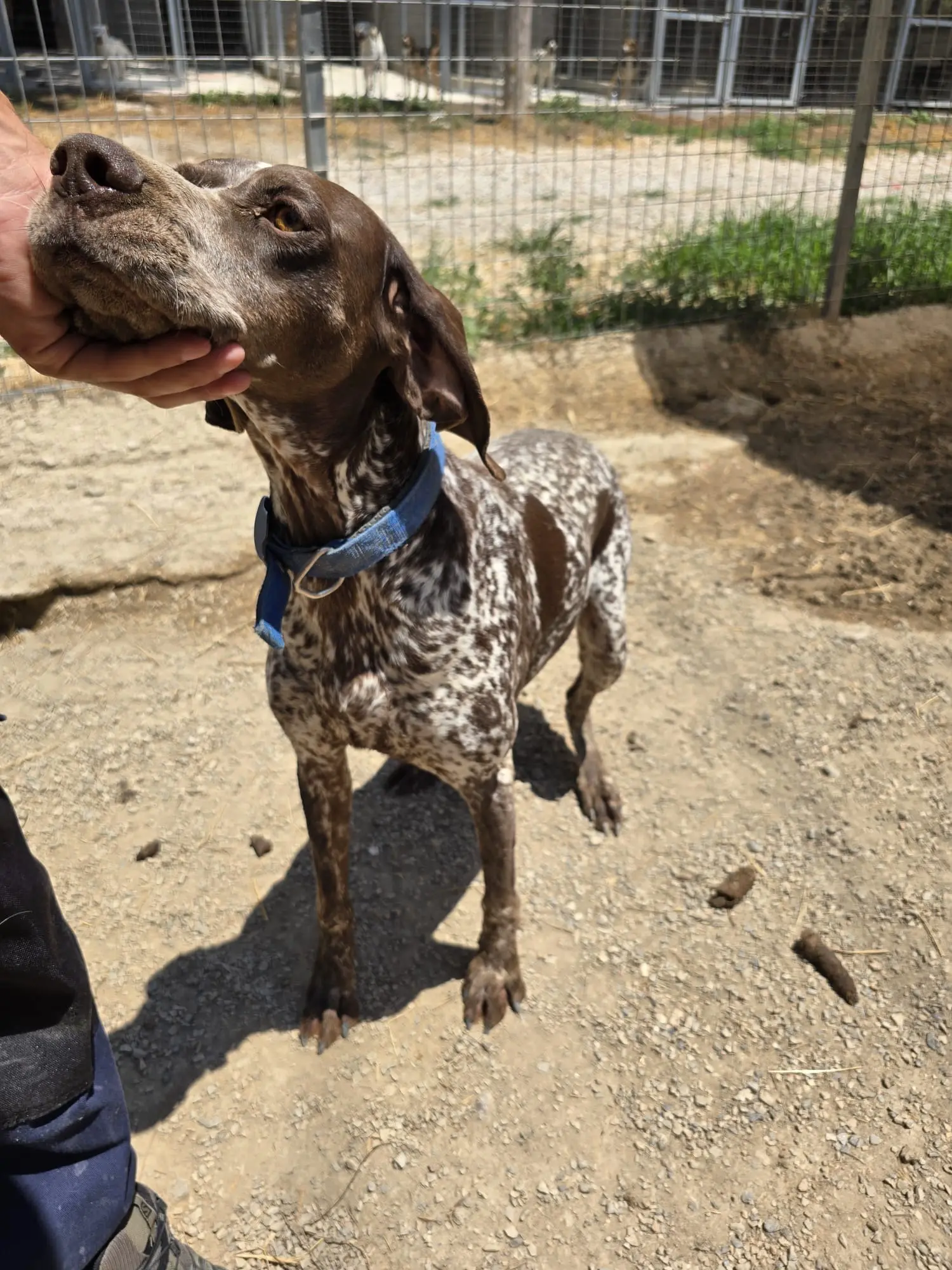 Sonnensegel spenden endlich Schatten