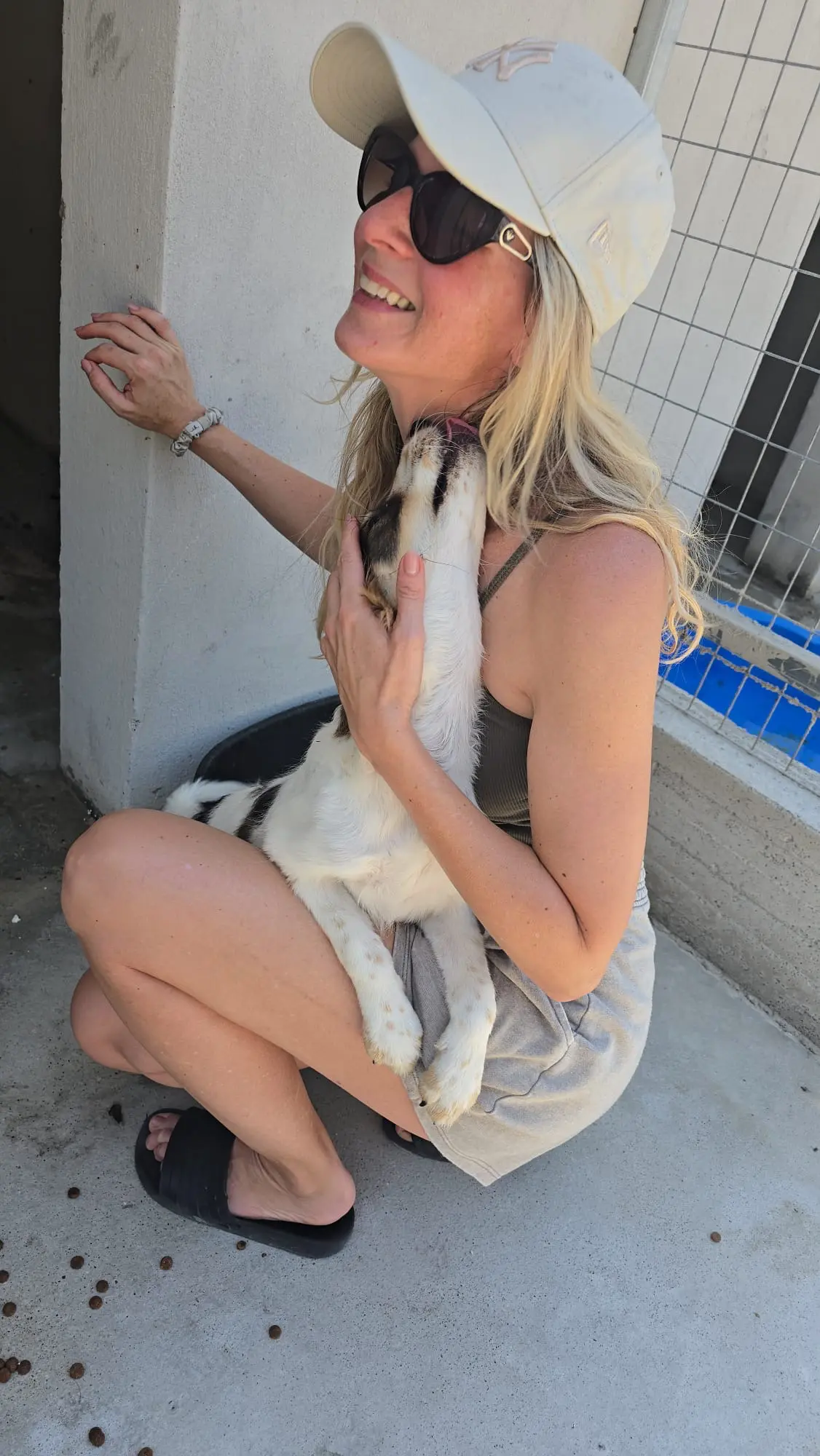 Verlassene Hunde in Gennadi