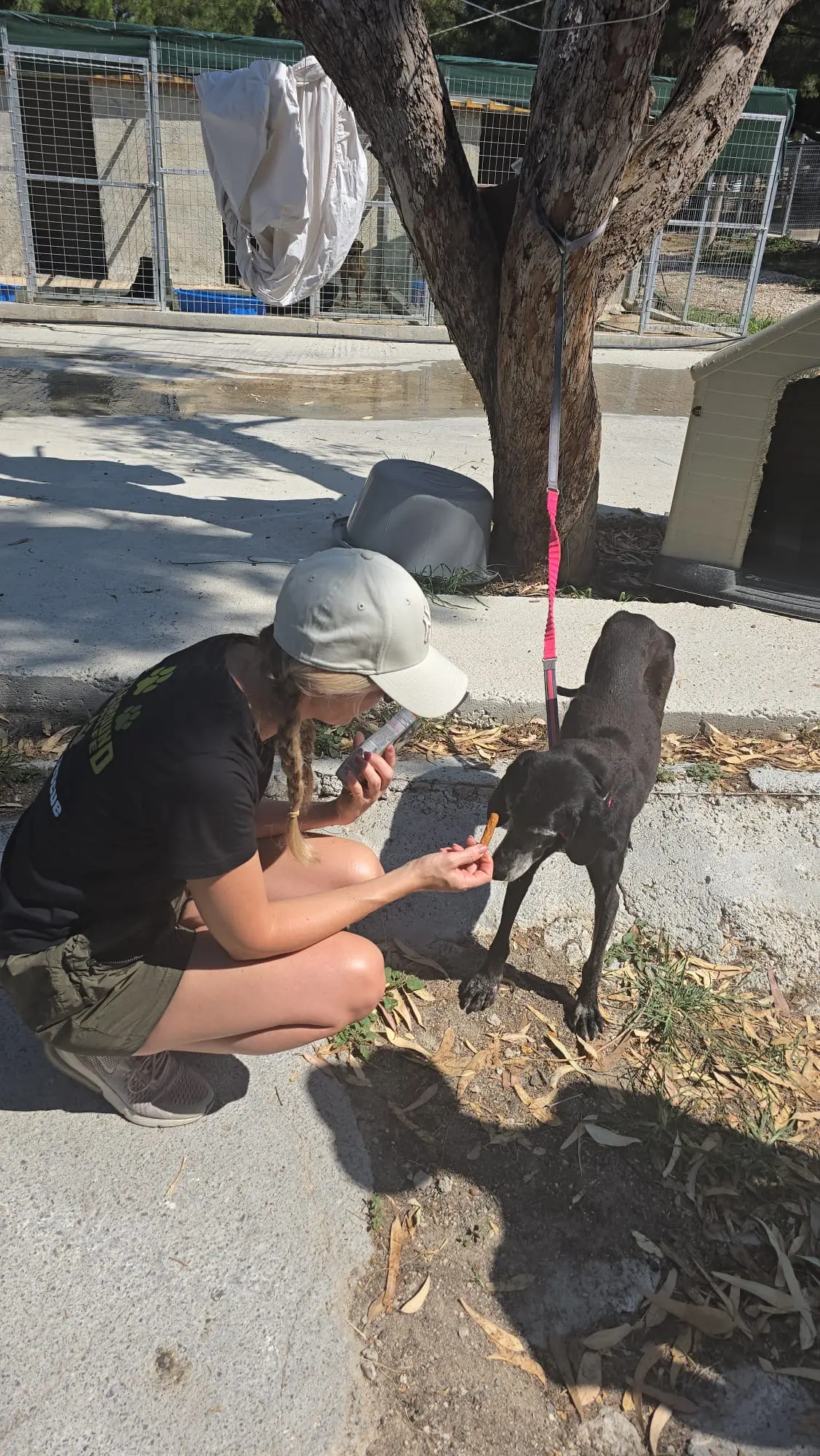 Wassertröge werden aufgefüllt