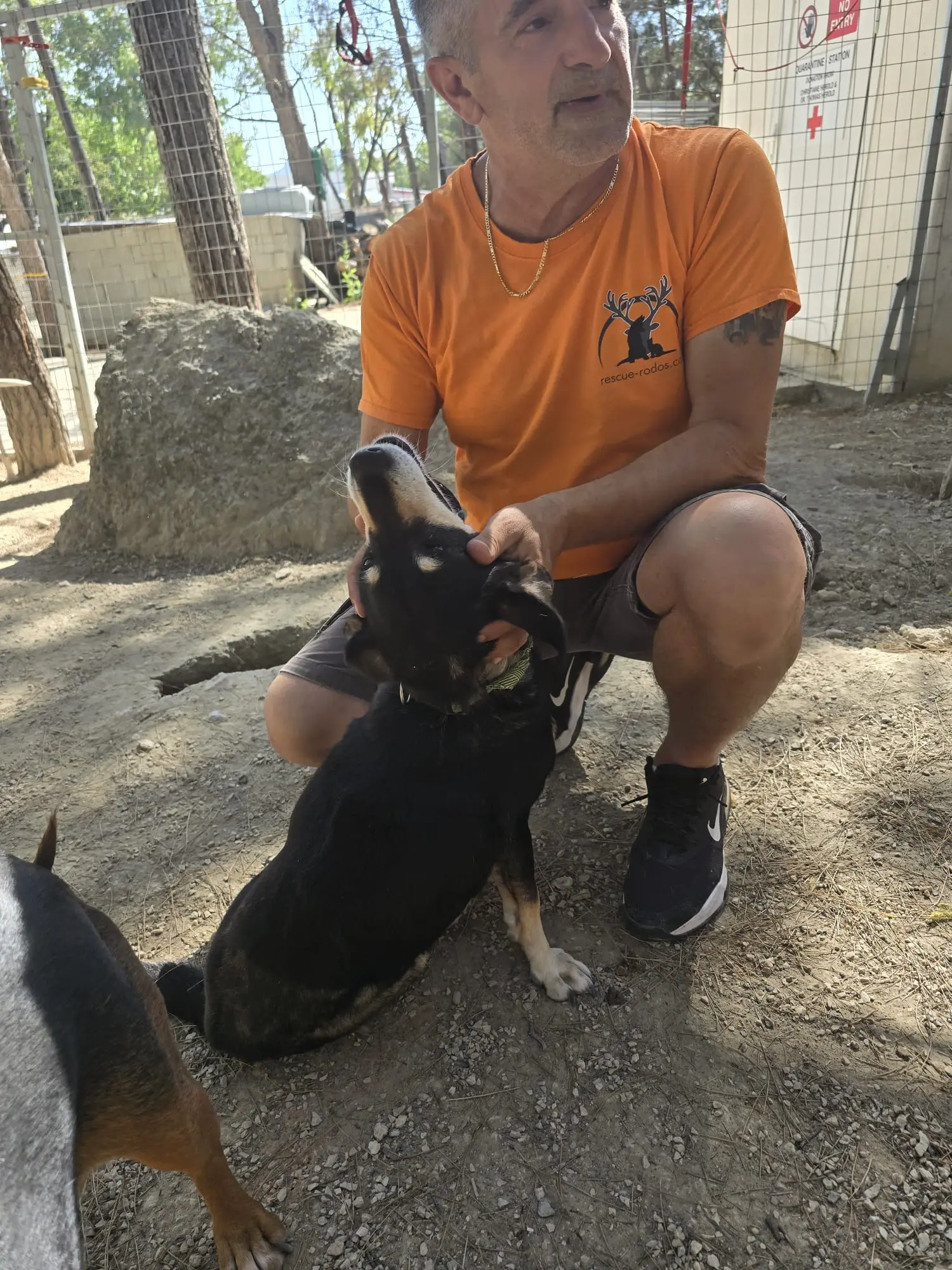 George, Leiter des Haupttierheims