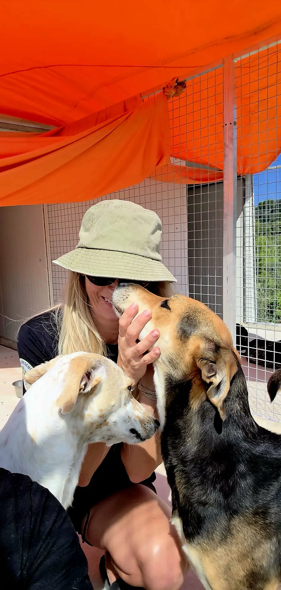 George mit Hunden im Tierheim