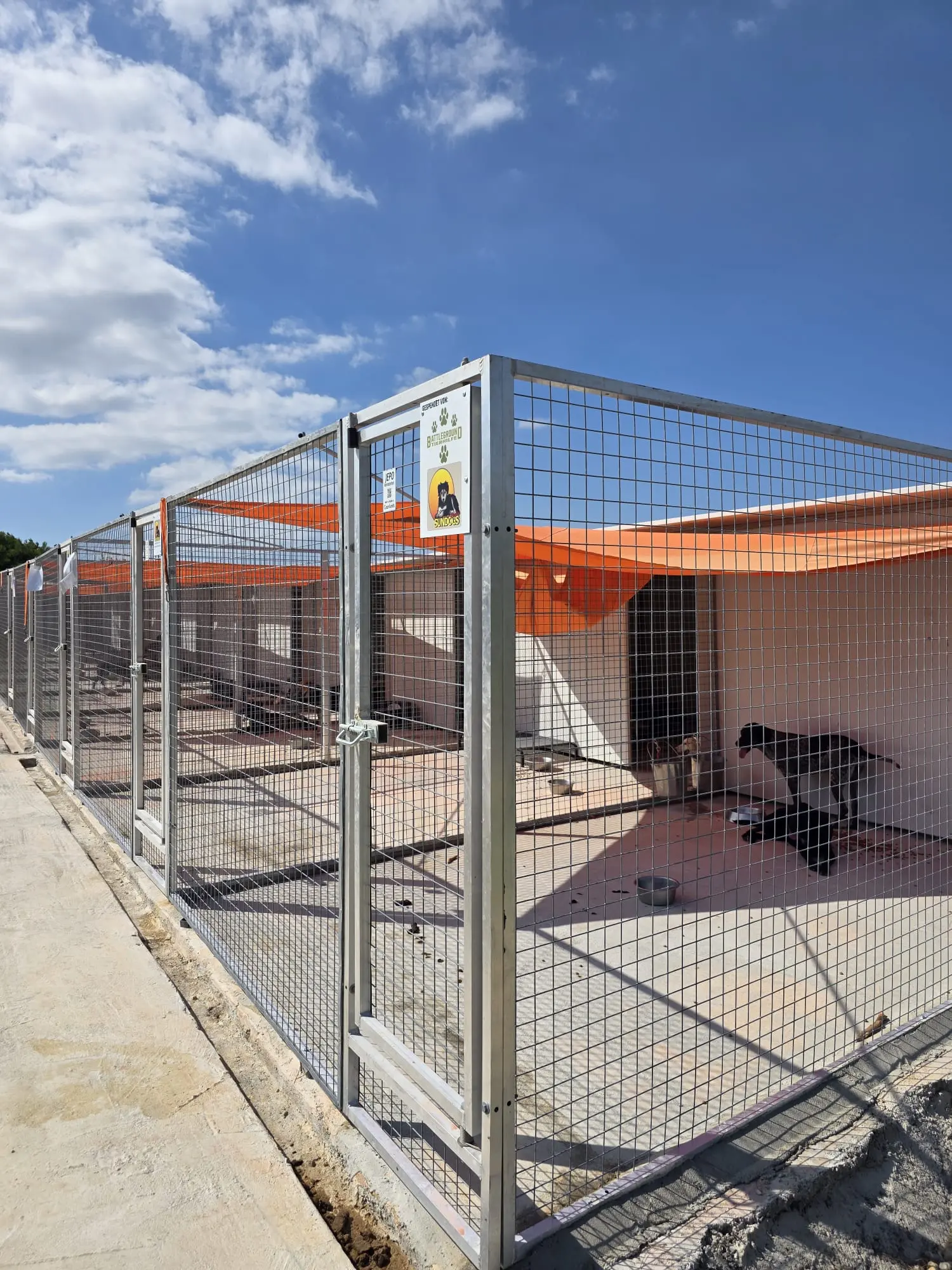 Hunde im neuen Shelter