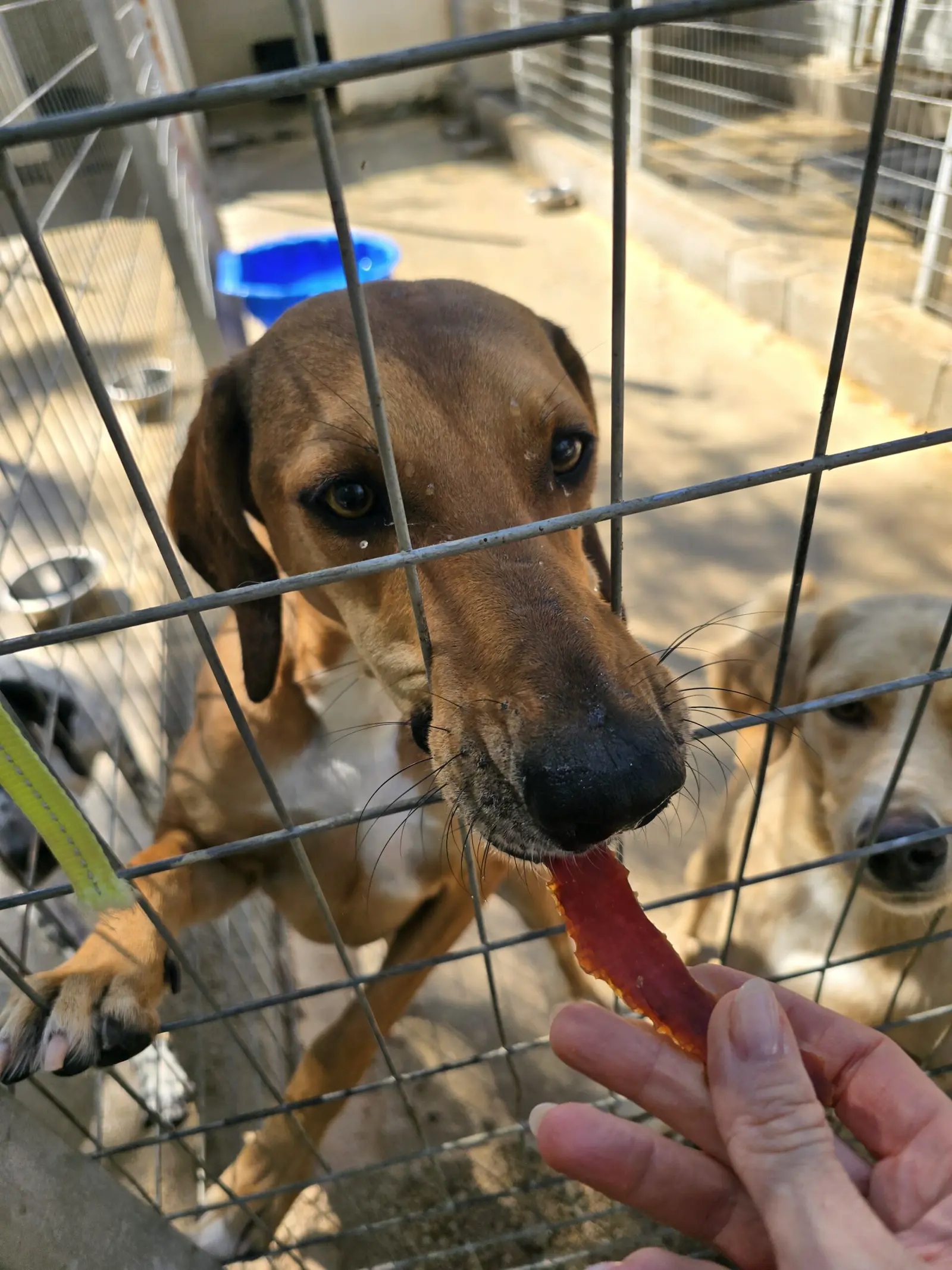 Shelter Rhodos – Bau und Abnahme