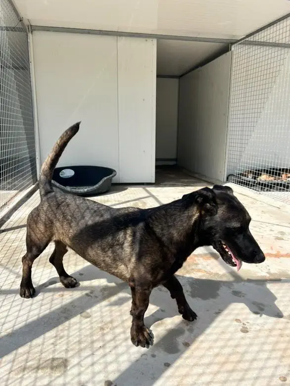 Shelter-Bewohner auf Rhodos