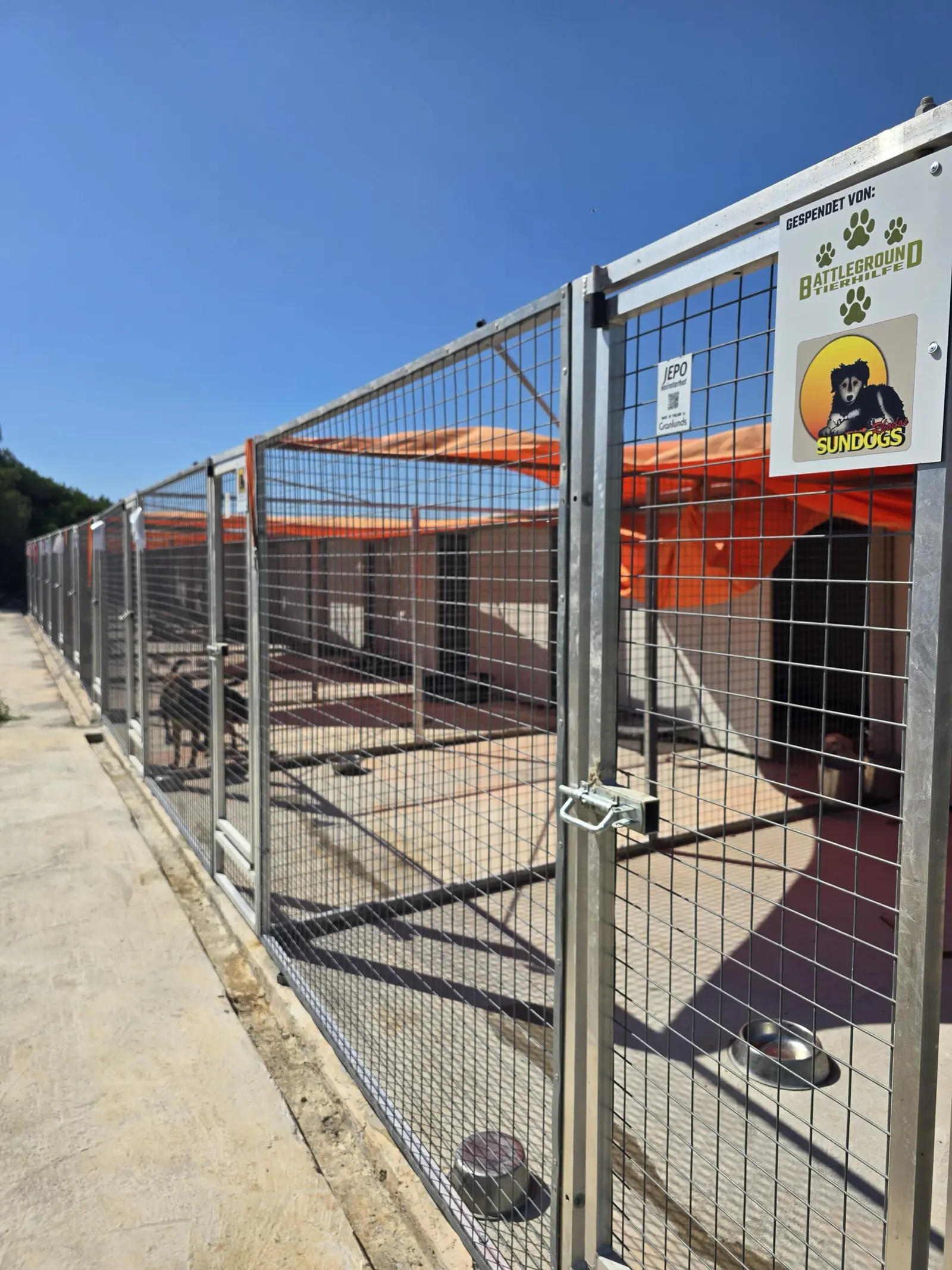 Hunde im betreuten Bereich