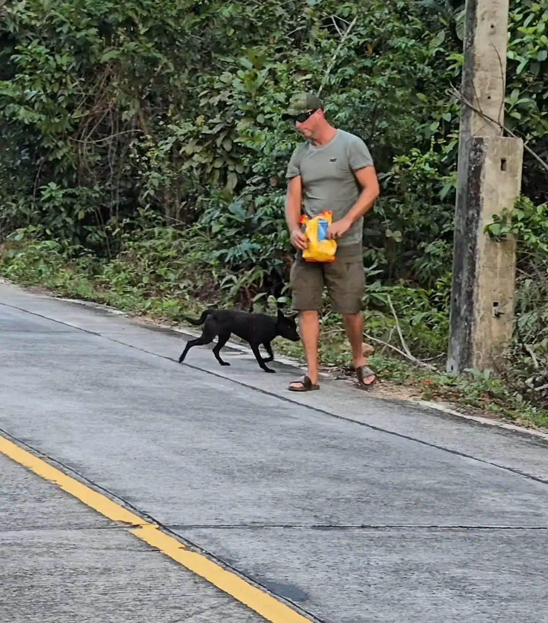 Glückliche Hunde auf Koh Kood