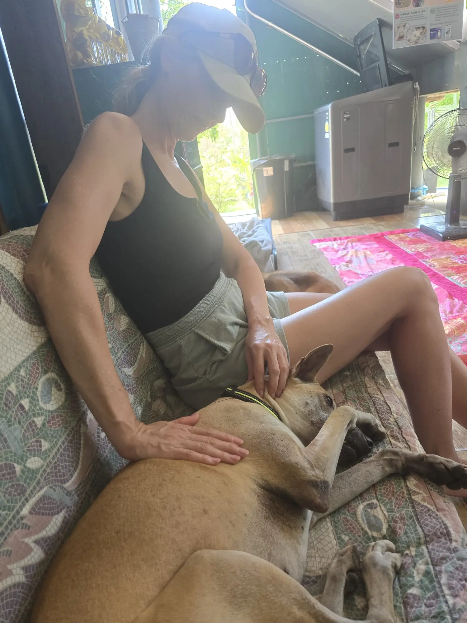 Sabai Dog – liebevolle Betreuung