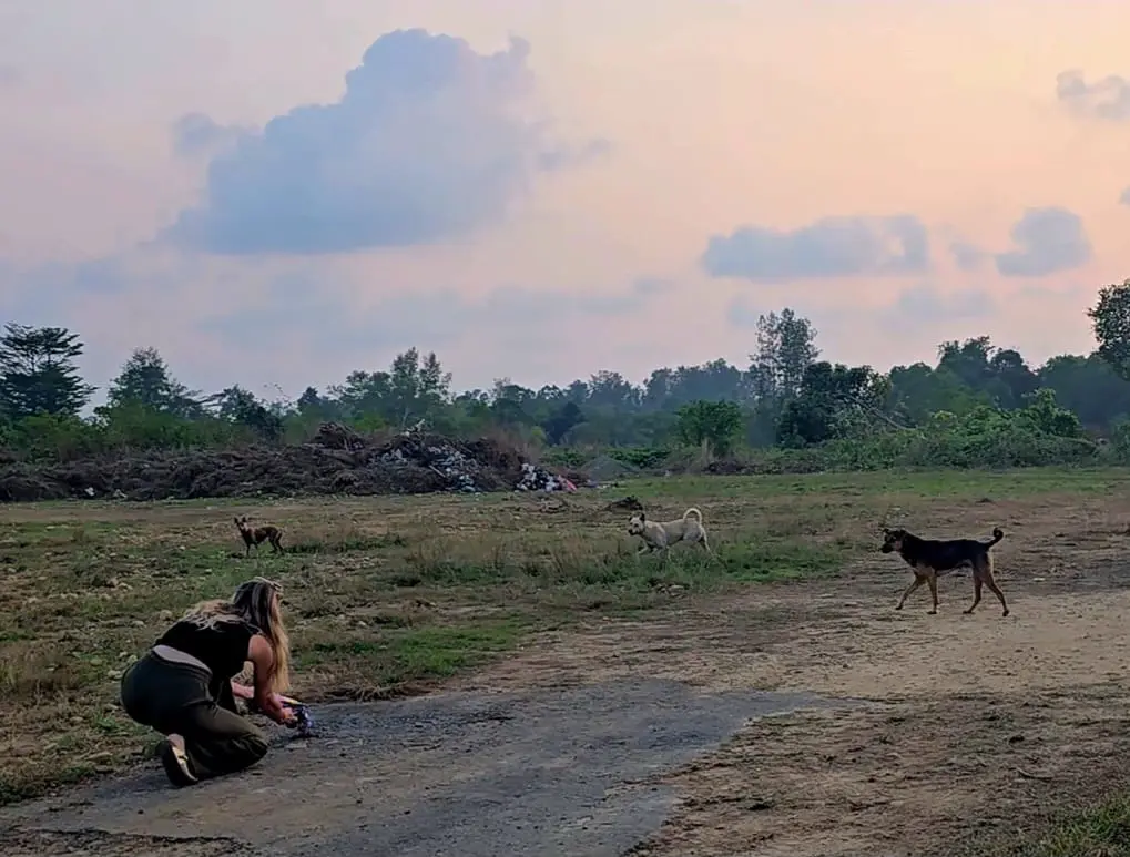 Tierschutz auf Koh Kood